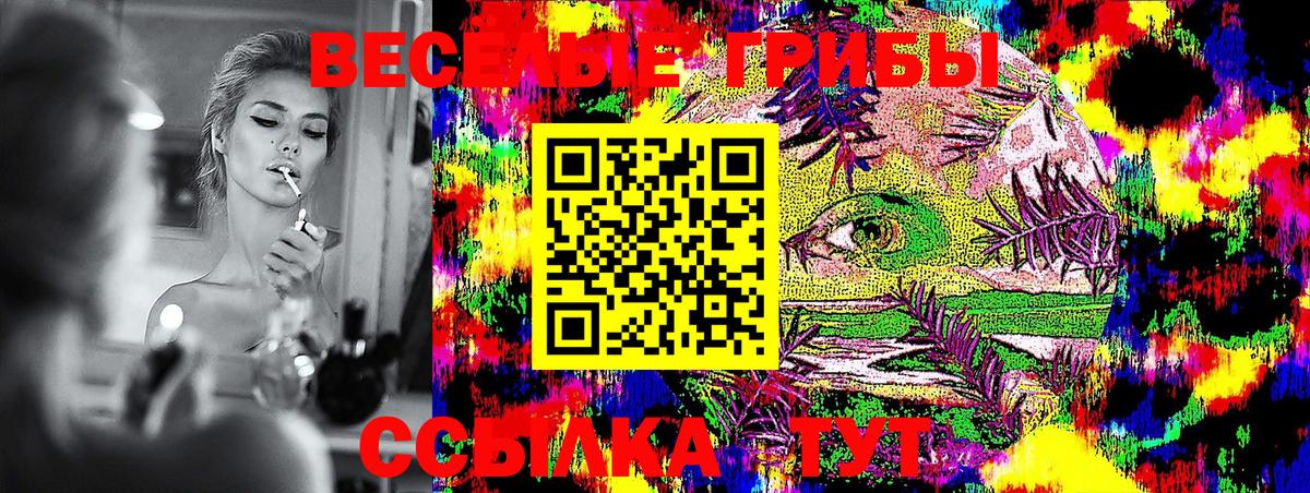 Галлюциногенные грибы ЛСД Тверь