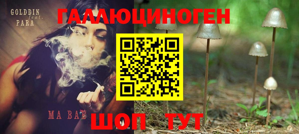 Тверь  Галлюциногенные грибы мухоморы  Вход с VPN 
